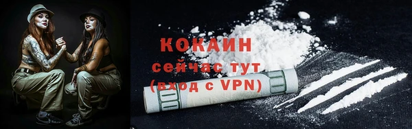 гашик Бородино
