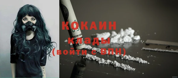 гашик Бородино