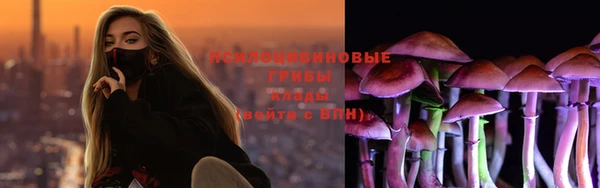 гашик Бородино