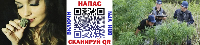 Купить закладки  Кимовск  Каннабис марихуана 